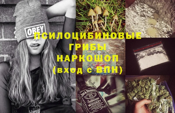 спайс Алзамай