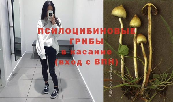 мяу мяу мука Медногорск
