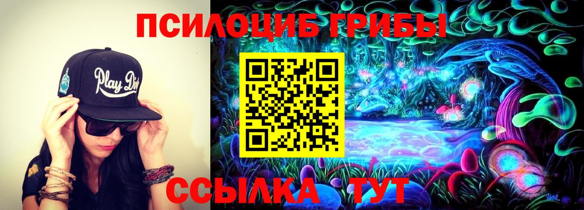 Тамбов  Псилоцибиновые грибы Magic Shrooms  где купить наркотик  Вход с VPN 
